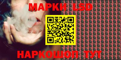 прущие грибы Камышлов
