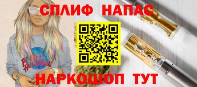 гашик Кандалакша