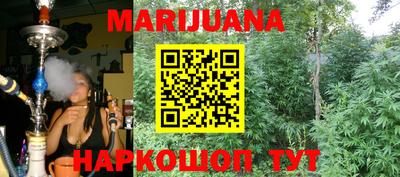 гашик Кимры